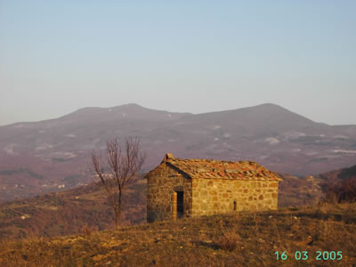 Seccatoio in inverno vicino a Monticello